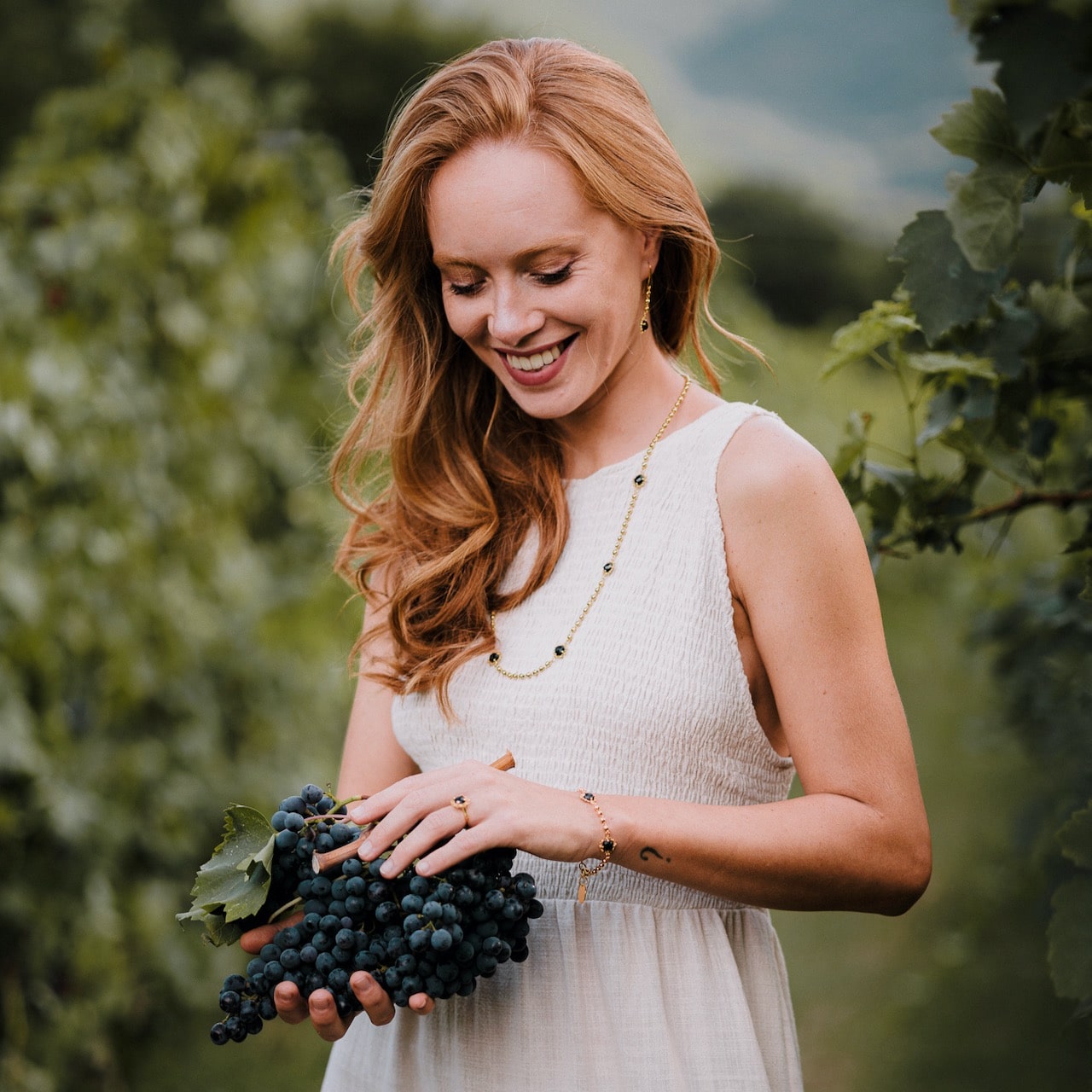 Vivaldi Collection - Vivaldi Autum