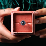 Wish Ring in 18K Rose Gold & White Gold with Blue Diamonds