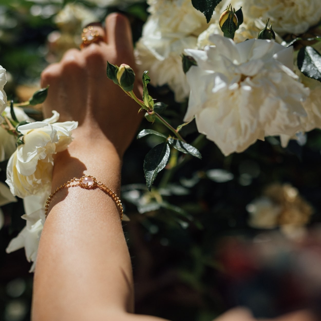 Mini Filary Bracelet in Gold with Rose Quartz